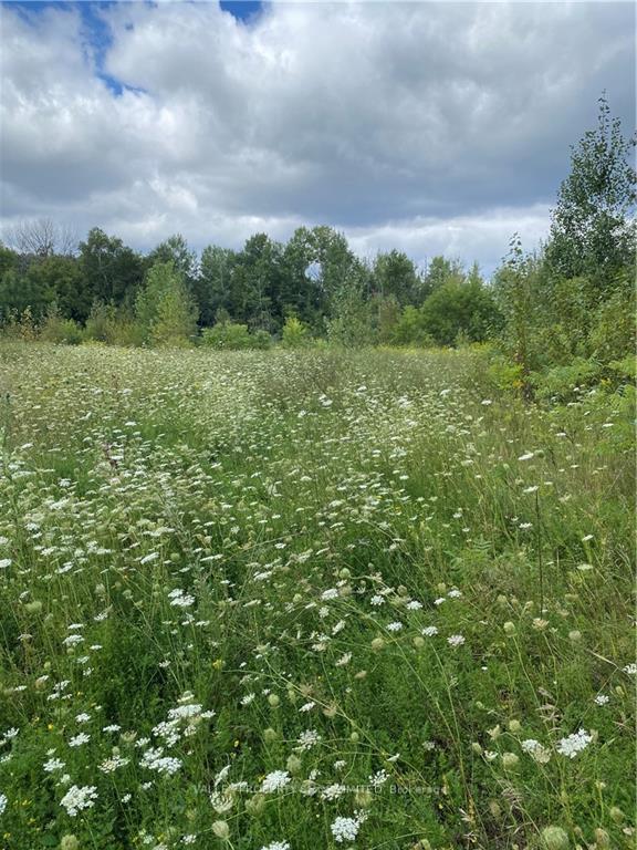 00 JEAN Avenue, Laurentian Valley, ON K8A 5H9 property